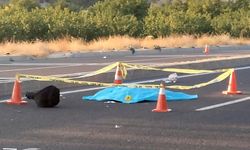 Darende'de Otomobilin Çarptığı Kadın Hayatını Kaybetti