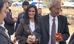 Muhtarlar Günü Nedeniyle İlçelerde Tören Yapıldı