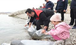 İki Baraj Gölüne 800 Bin Yavru Balık Bırakıldı