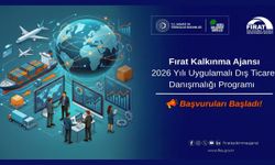 İşletmelere Bire Bir Danışmanlık ve Mentorluk Desteği