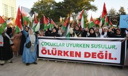 Gazze'deki Soykırımın 3. Yıldönümünde Malatya'da Protesto