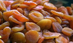 GAİB Bölgesinde 183,9 Milyon Dolarlık Kuru Meyve İhracatı