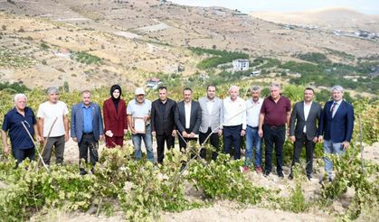 Bölgenin Üretim Potansiyeli Yerinde Değerlendirildi
