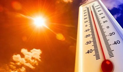 Türkiye'nin Kayıtlardaki En Sıcak Yılı 2024 Oldu