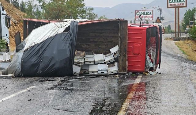 Arı Yüklü Kamyon Devrildi.. 2 Kişi Yaralandı