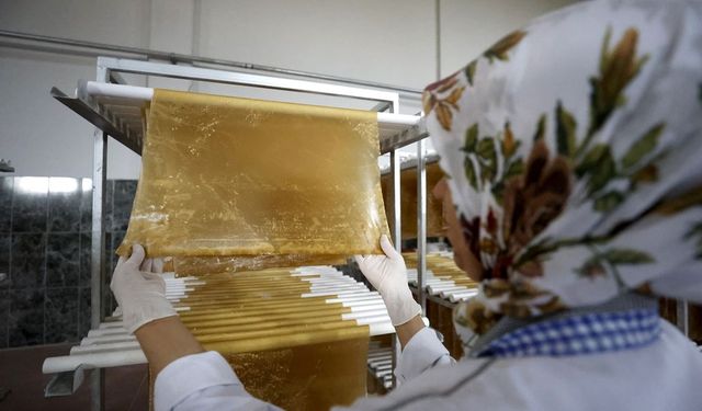 Farklı Meyveleri Endüstriyel Ölçekte Pestile Dönüştürüyor