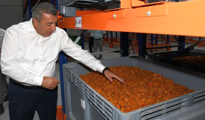 "Bu Gerileme, Normalde Anormal Bir Durum Değil"