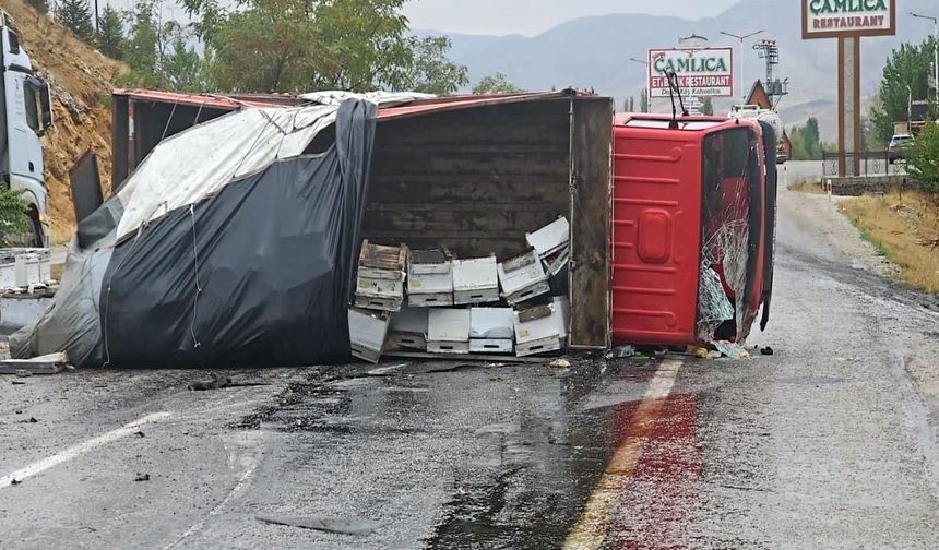 Arı Yüklü Kamyon Devrildi.. 2 Kişi Yaralandı