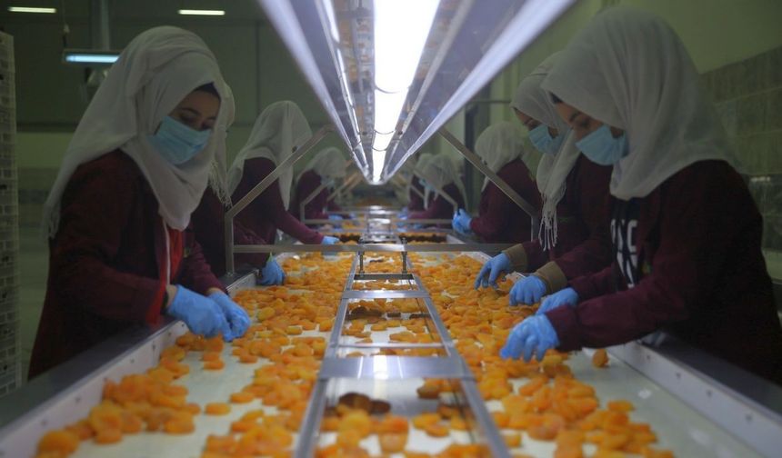 "Toplam Gelirimiz 46 Milyon Doların Üzerine Çıktı"