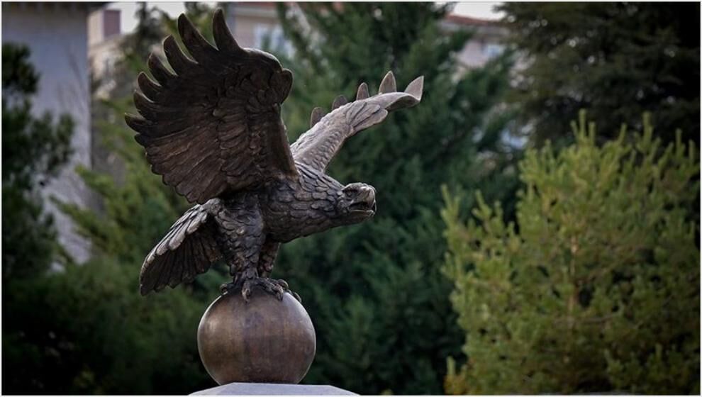 Tuğrul Kuşu, Türk Birliğinin Simgesi