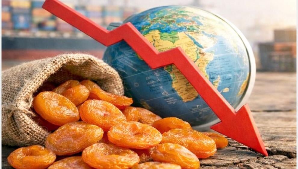 Deprem Bölgesinde İhracatı En Olumsuz Etkilenen İl Malatya!