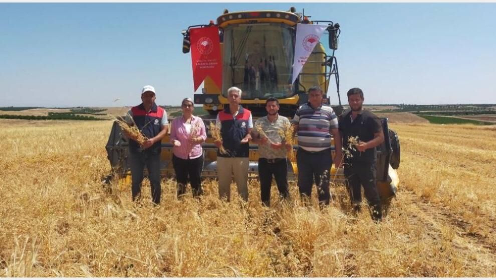 Nohutta Rekolte Tahmini: 500 Ton