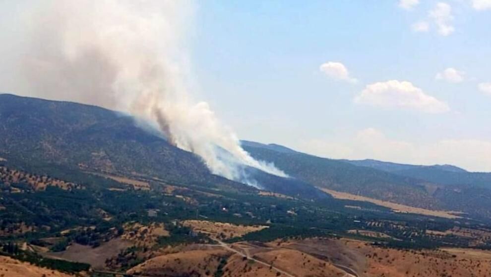 Pütürge'deki Orman Yangını Kontrol Altına Alındı