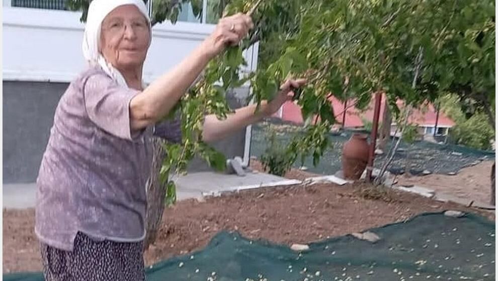 "85 Yaşında Olmalarına Rağmen Tek Tek Topluyorlar"