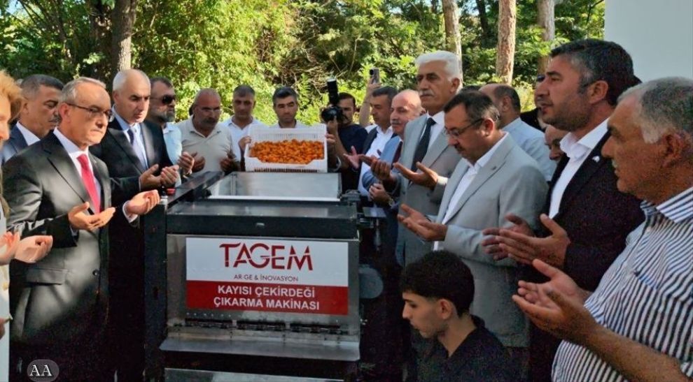 Patik Makinesi Tanıtıldı.. Saatte 10 Kasa Kayısının Çekirdeğini Ayırıyor