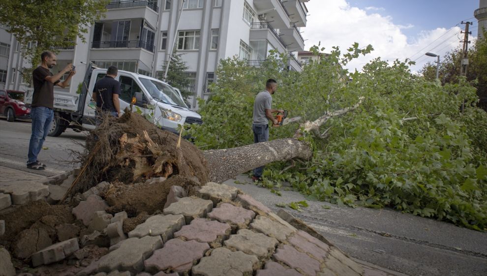 Fırtına Çatıları Uçurdu, Camları Patlattı, Ağaçları Devirdi
