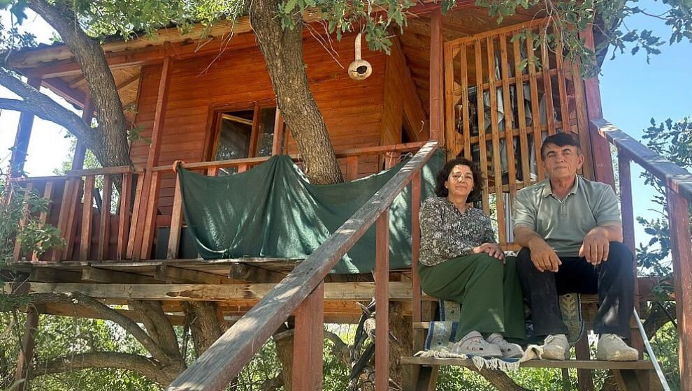 Meşe Ağacının Üzerine Ev Yaptı