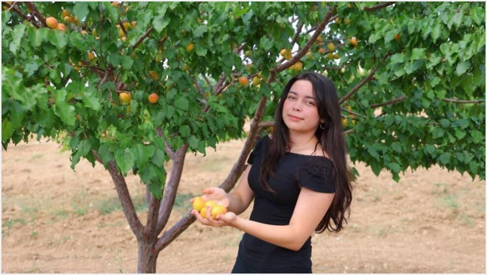 'Susuz Bölgede Malatya Kayısısı' Çalışmasında Olumlu Sonuç