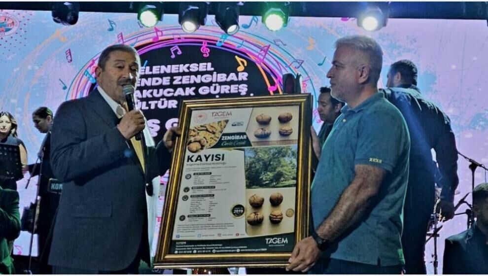 Tescilli Zengibar Cevizi Yüksek Kalitesiyle Dikkat Çekiyor