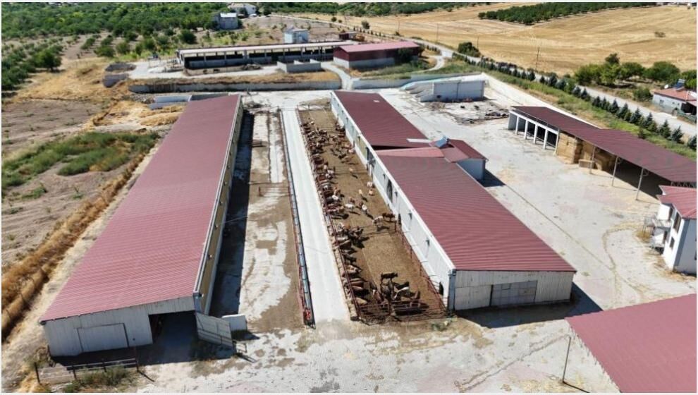 "Yıllardır Bu İşin İçindeyiz, Üretmeye Mecburuz"