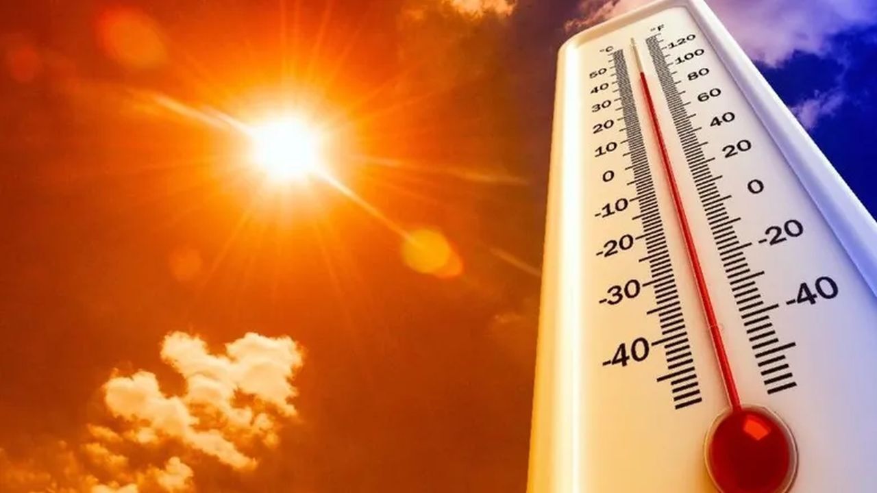 Türkiye'nin Kayıtlardaki En Sıcak Yılı 2024 Oldu