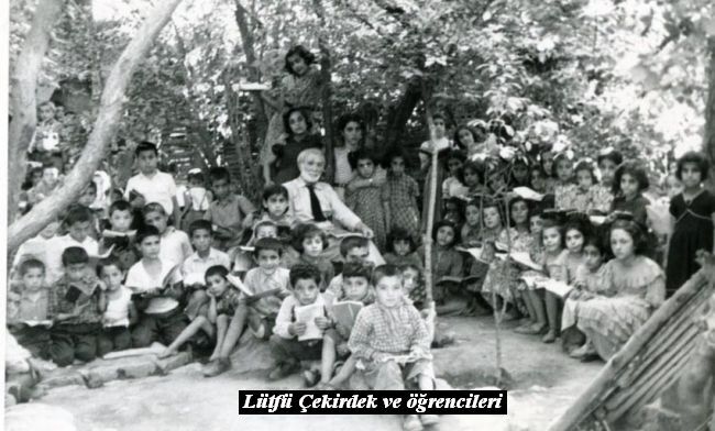d4lütfüçekirdek