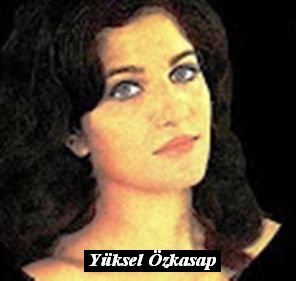 d6yükselözkasap
